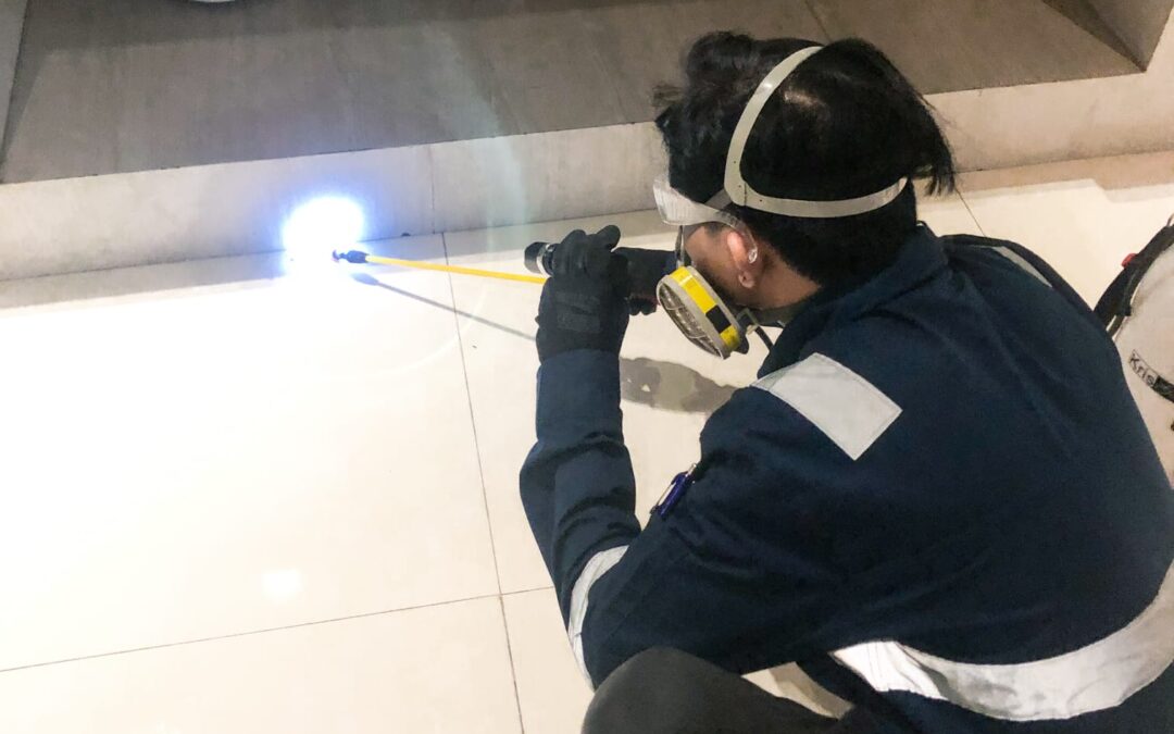 Penyebab dan solusi tepat atasi kecoa