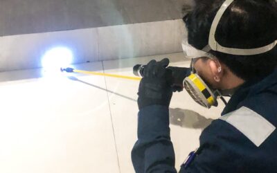 Penyebab dan solusi tepat atasi kecoa