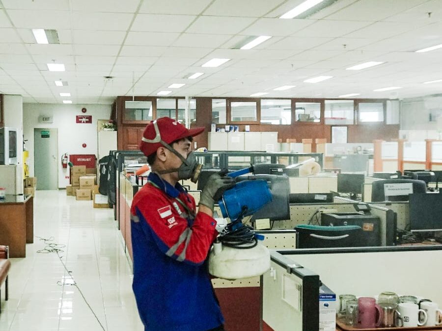 Ketahui dan pelajari jenis lalat yang ada di lingkungan kita