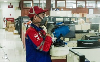 Ketahui dan pelajari jenis lalat yang ada di lingkungan kita