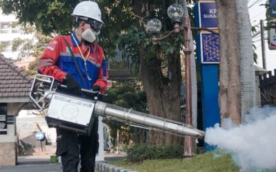 Mengapa pengendalian nyamuk penting dilakukan secara berkelanjutan?